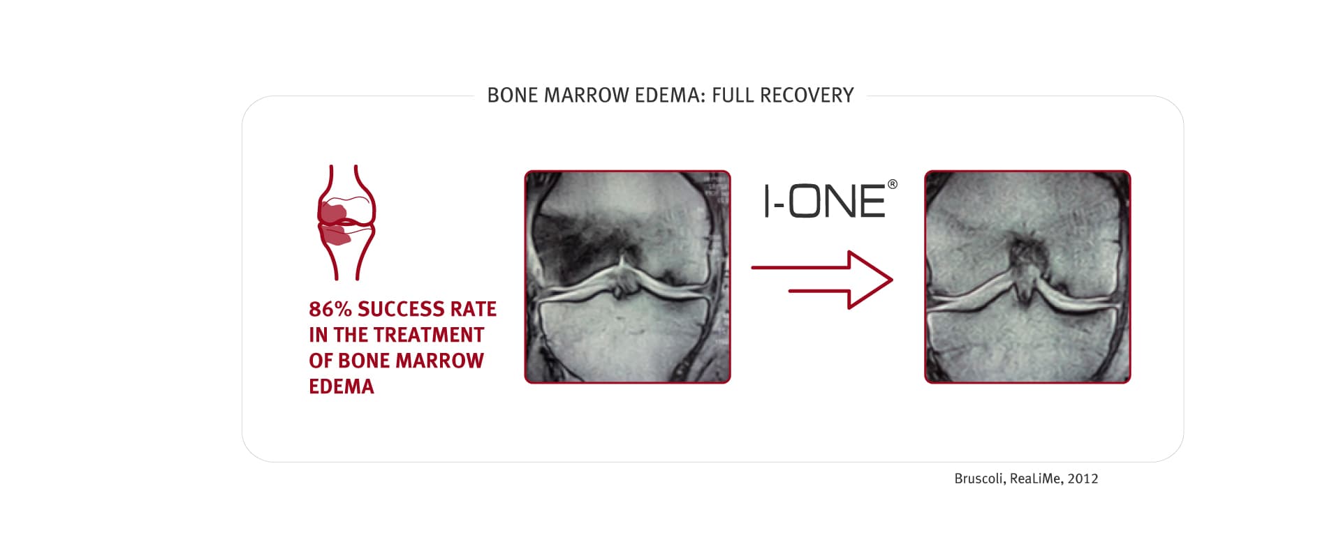 Scientific Publication Screenshot 2